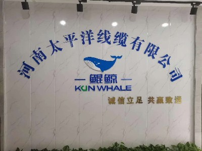 牛商爭霸中段總結，河南太平洋線纜賦能發展