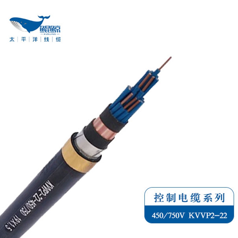 kvvp22控制屏蔽電纜 kvvp22電纜